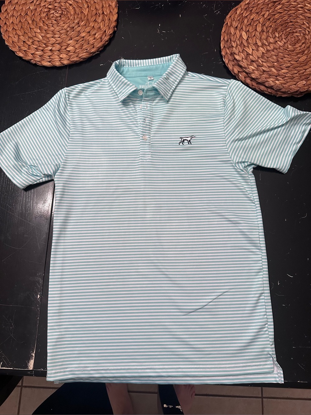 Men's Striped Polo Shirt - Light Green